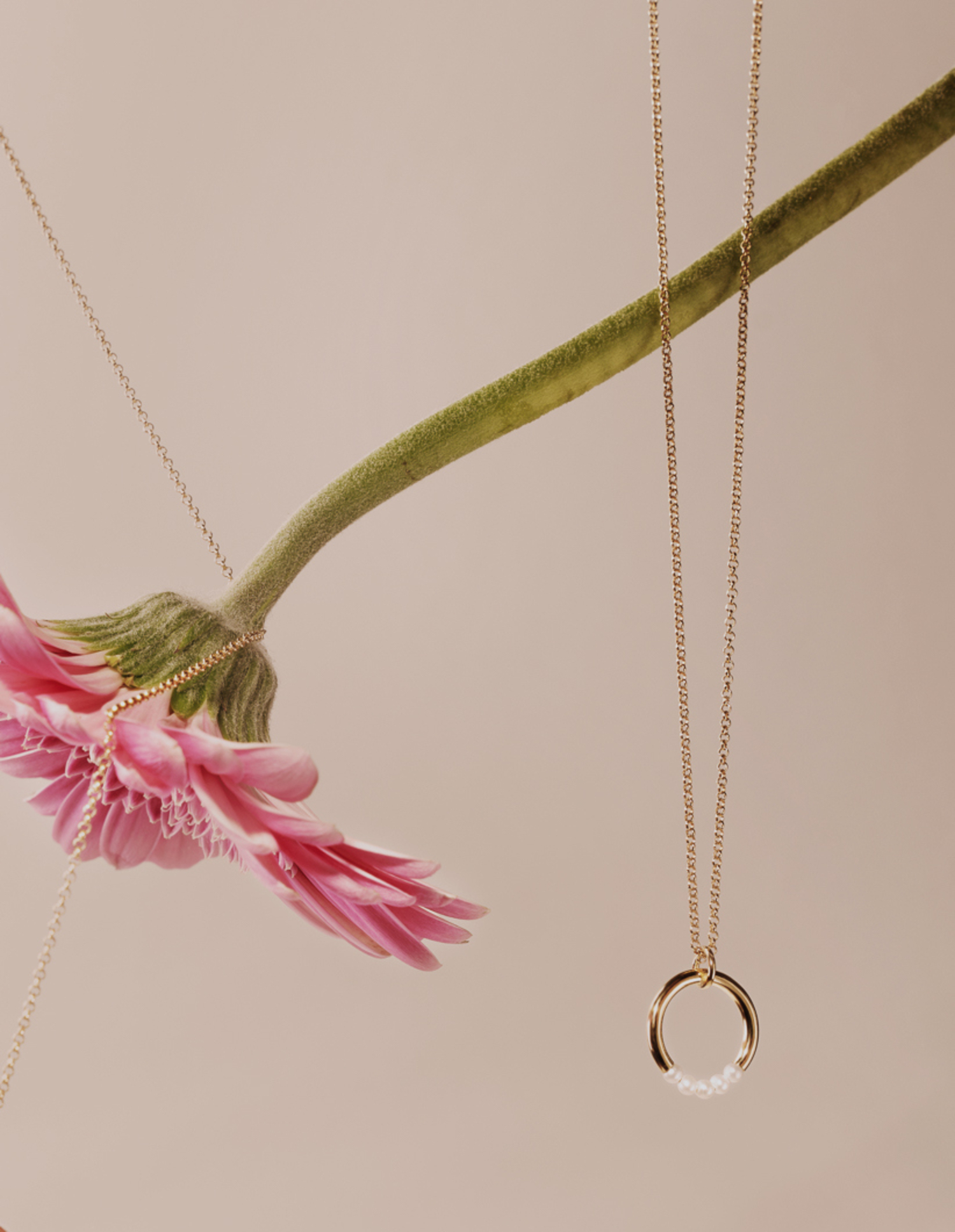 naszyjnik muse 01 gold dodatkowe zdjęcie 3